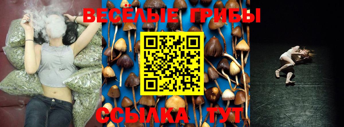 Галлюциногенные грибы мухоморы  купить  цена  Вход с VPN  Солнечногорск  Галлюциногенные грибы Psilocybe 